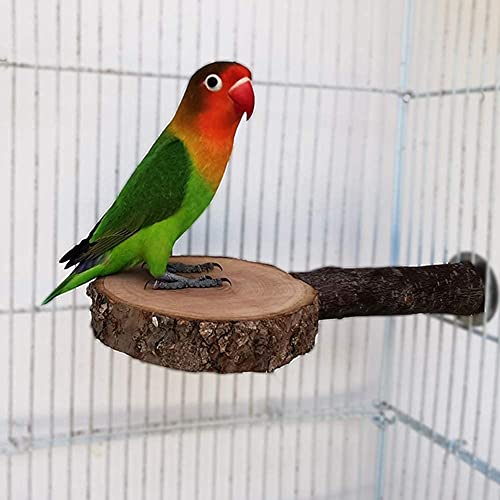 image for DuvinDD 2 PCS Bird Perches Natural Wood Bird Toys Parrot Perch Parakee