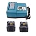 Produktbild Ersatz Ladegerät mit 2X Akku 18V 4.0Ah für Makita Winkelschleifer DGA504Z DGA506Z DGA452Z Gebläse DUB362Z DUB361Z DUB183Z Rasenmäher DLM380Z DLM431Z Handkreissäge DHS680Z DHS710ZJ DHS630Z DSS610Z Accu
