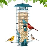 GAINSEN Squirrel Proof Metal Bird Feeder, Removable Base for Easy Cleaning, Weight Activated Cage, 3 Lbs Capacity, Sturdy and Rust-Resistant, Tube Bird Feeder for Outdoor Cardinals, Finches