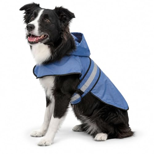 FROGG TOGGS Dogg Toggs Raincoat, Blue, Size MD