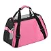 Hundetasche Netzgewebe Atmungsaktiv Katzentransportbox Faltbar Hundetragetasche Waschbar Matte Kleintiertasche Einstellbar Schultergurt Katzentasche Abnehmbar Transporttasche Hunde Katzen Welpen