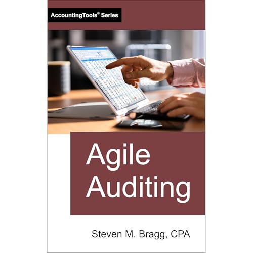Agile Auditing Audiolibro Por Steven M. Bragg arte de portada