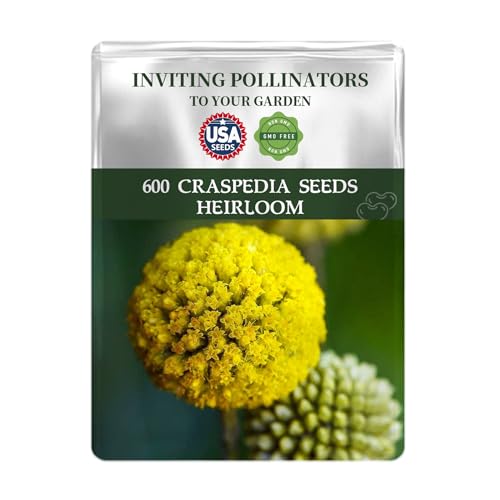 Drumstick Flower Seeds Pack - Beautiful Garden Flowers Seeds