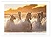 Horse Paradise Camargue (Wall Calendar 2026 DIN A3 Landscape), CALVENDO Monthly Calendar: The White Horses of the Camargue in the Swamps and on the Beach
