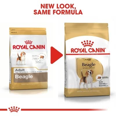 Royal Canin Beagle Trockenfutter für erwachsene Hunde, 12 kg