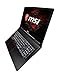 MSI Raider GE63VR 7RF-227XES - Ordenador portátil de 15.6" FHD 120 Hz...