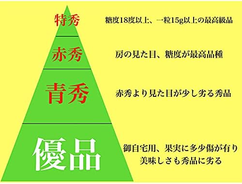 お中元 シャインマスカット 岡山県産 晴王 青秀 贈答 600g 2房 高糖度 JA 農協 ギフト プレゼント
