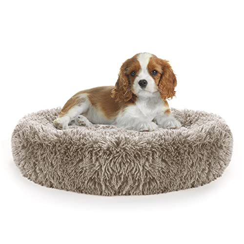 Rayisin 60/70/80CM Hundebett für Kleine und Mittelgroße Hunde, Hundekissen Weiches und Flauschiges, Donut Hundebett katzenbett Waschbar, Braun Cover