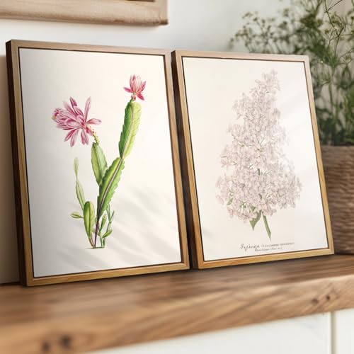 crmotu Botanical Framed Wall Art, Cactus Floral Canvas Prints, Tropical Plant Nature Wall Decor, Minimalist Vintage Pictures for Bedroom Bathroom Kitchen Desktop, Rustic Farmhouse Decor, 9x11 inch