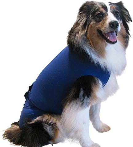 Surgi~SnugglyFemale Dog Diapers Cover and Male Dogs Diapers Suit with American Textile and Wrap Around Legs for Superior Fit - Fits (S - Blue)