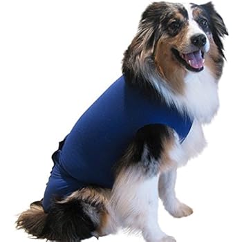 national geographic exotic animals