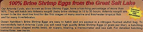 Ocean Nutrition Brine Shrimp Eggs 20g, standard, 20 g (Pack of 1) - Image 4