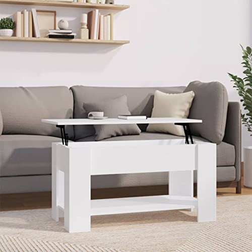 LAPOOH Mesa de Centro, Mesa Baja Salon, Mesa Centro Salon, Mueble Salon, Mesa Auxiliar, Mesa Cafe, Mesita Salon, Madera contrachapada Blanco 101x49x52 cm