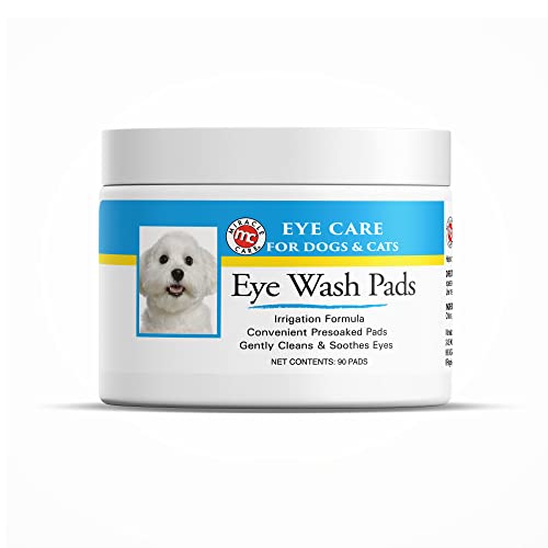 Dog Eye Infection Problems Prevention and Treatment (Based on Studies)