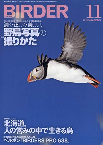 無料電子書籍 pdf BIRDER(バーダー)2019年11月号 清く・正しく・美しい、野鳥写真の撮りかた バイ