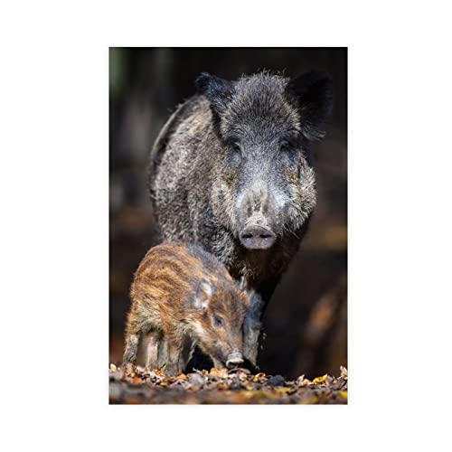 EDMIRE Poster sur toile Famille de sangliers sauvages Décoration murale pour salon, chambre à coucher Style sans cadre 30 x 45 cm