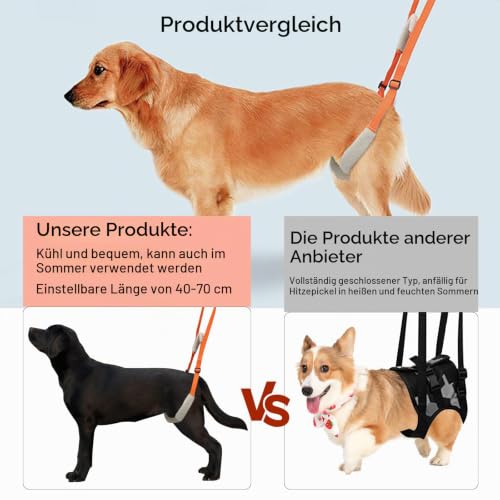 Hundegeschirr Grosse Hunde Gehhilfe mit Sicherheitsgurt - Tragehilfe für Kranke & Altere Hunde
