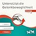 Beaphar BEAPHAR - Flexifit Paste Für Hunde Und Katzen - Unterstützt Die Gelenkbeweglichkeit Und Vitalität - Mit Vitamin C, Glucosamin, Omega 3 Und Vitamin E - 250 g