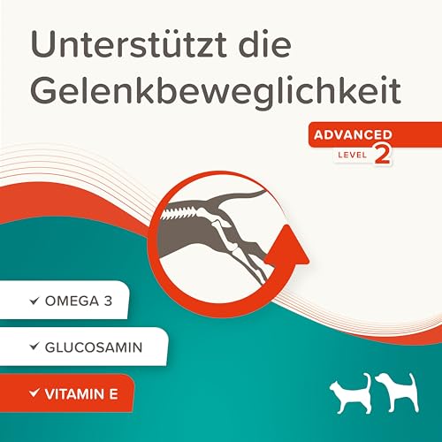 Beaphar BEAPHAR - Flexifit Paste Für Hunde Und Katzen - Unterstützt Die Gelenkbeweglichkeit Und Vitalität - Mit Vitamin C, Glucosamin, Omega 3 Und Vitamin E - 250 g