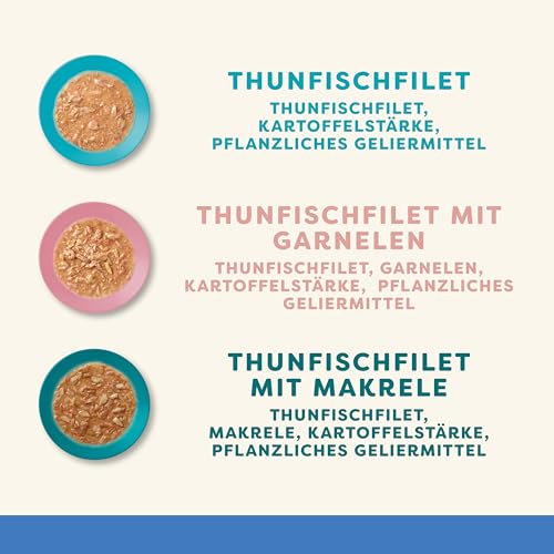 Applaws 100 % natürliches Nassfutter für ausgewachsene Katzen, Fischsortiment in Sauce Multipack, 12 × 70 g Dosen