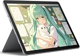 Microsoft Surface Go 2 touch, m3-8100Y, 8GB RAM, 128GB SSD (ricondizionato)...