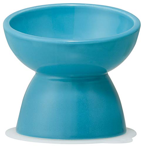 スケーター 超小型犬用 食器 陶磁器製 ペット餌入れ マット付 ミント CHOB1