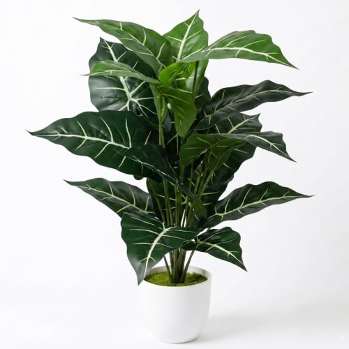 Image of Dekorly Artificial African Mask Plant Tree with White Pot 26 Inches | 66CM- Realistic Faux Leaf Plant for Home Decor, Bedroom, Living Room & Office (Mask Plant | White Pot, Pack of One)