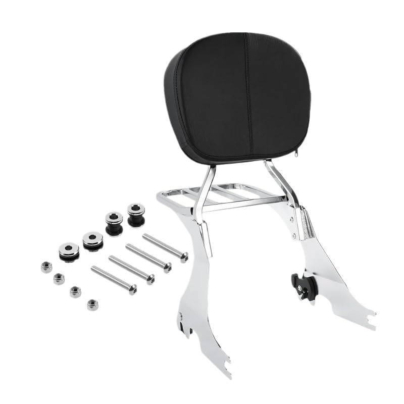 Dossier passager avec porte-bagages moto pour Sportster XL 883 1200