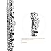 YANASON C Flute Closed Hole 16 Keys Flute Nickel-Plated for Beginner, Kids, Student with Carrying case, Metal stand, Gloves, Tuning Rod, Cleaning kit