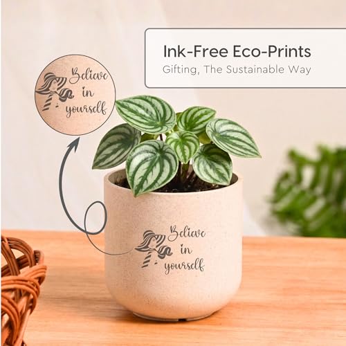 Image of Eha Earth-Friendly Gift Set for Mom| 350 ml | Planter, Mug with Coaster & Loopac | Gifts for Mom Made with Rice Husk Biocomposite | Gifts for Woman | Coral