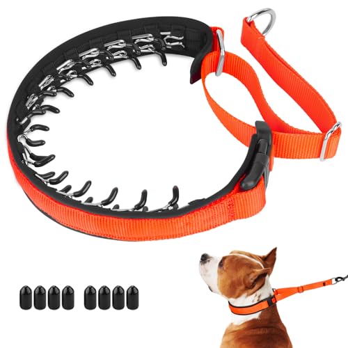 Mayerzon Martingale No Pull Collar for Medium Large Dogs, Patented Anti Pull Dog Collar with Buckle for Walking Training, with Neoprene Padding and Reflective Stitching, Adjustable(Sunset Orange, M)