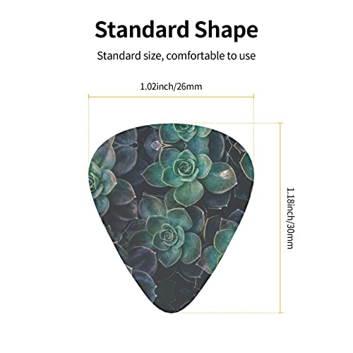 Ensemble de 12 médiators de guitare de plantes succulentes pour guitare acoustique, guitare électrique, contrebasse… - Les Beatles, Paul McCartney, John Lennon, RIngo Starr, George Harrison Ensemble de 12 médiators de guitare de plantes succulentes pour guitare acoustique, guitare électrique, contrebasse… – Image 5