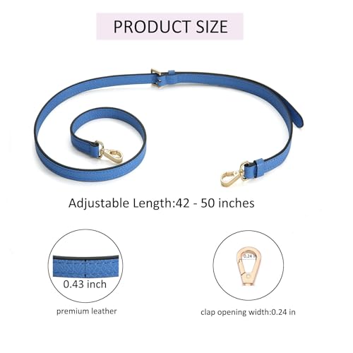 Image of Crossbody Strap Compatible for Longchamp LP Xtra XS Pouch, Conversion Kit,GOLD Hardware
