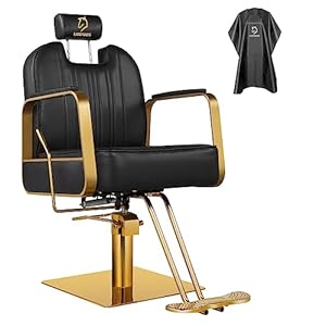 Barber Chair Hydraulic Reclinin Salon Chair, Reclining Salon Chair for Hair Stylist, Adjustable Height and 360 Degree Swivel, All Purpose Beauty Spa Equipment-Black
