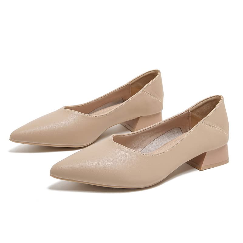 Dear Time Ballerina Flats Shoes for Women Pointy Toe Soft Basic Slip On Flat Shoes