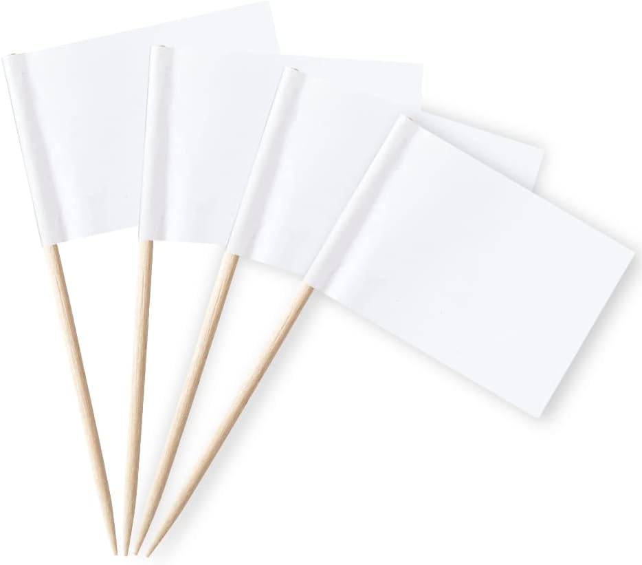 Blank Flag Toothpicks Food Labels for Party Buffet Small Mini Toothpick Flags Cocktail Picks Food Signs for Appetizers, Cupcakes, Charcuterie, and Buffet(White)