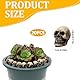 MUYAPAY 20 Stück Totenkopf Deko,Harzig Blumentopf Kopf, Totenkopf Halloween Deko, Horror Deko Mini Totenkopf Figur, für Spukhaus, Halloween Horror Party, Dekoration für Halloween (Knochengrau)