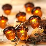 KAiSnova 3D Acorn Fall Decor Harvest String Lights Battery/USB Powered with Remote and Timer 10ft 30 LEDs Thanksgiving Decorations Lights for Home Party Autumn Christmas Tree Lights