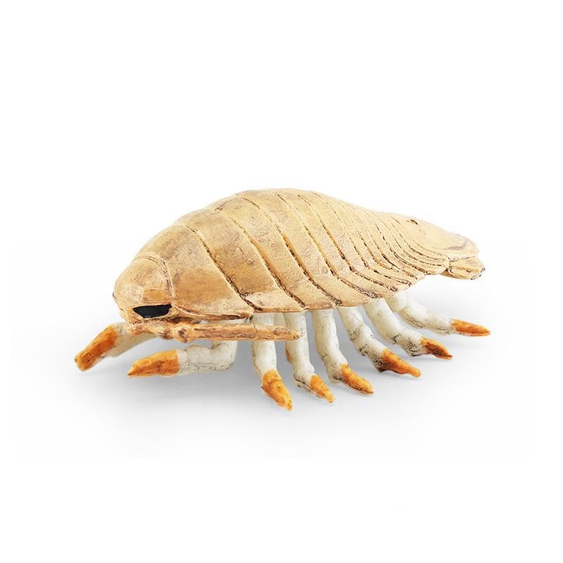 ダイオウグソクムシ フィギュア 24cm Amazon.co.jp: ダイオウグソクムシ 不思議生物大百科 深淵の居住