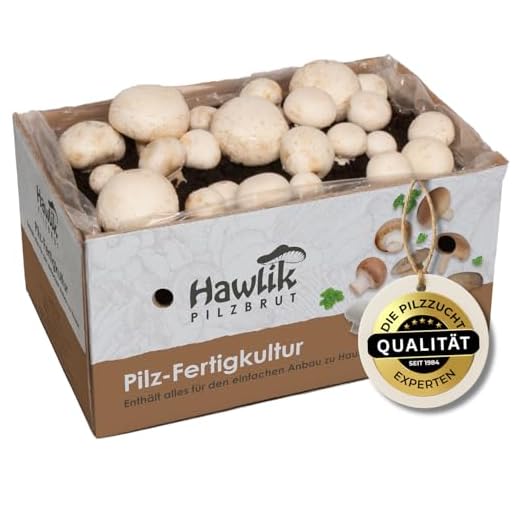 Hawlik Pilzbrut - das Orginal - weiße Champignon Pilzzucht-Set - Kultur zum selber züchten - frische Pilze ernten (klein)