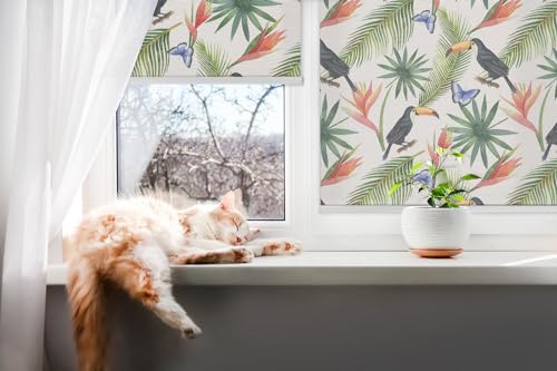 Store occultant sans perçage 60x180cm au design toucans chic