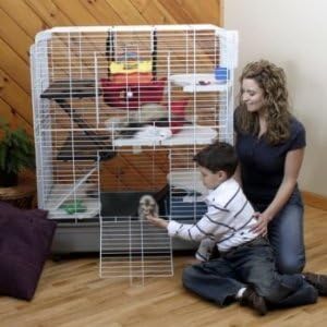 Marshall Small-Animal Townhouse