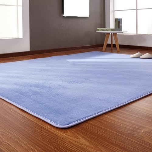 [NHYGDY] Z^[O CeA ی 60x200cm `FA}bg ]|h~  ϋv [΍ h g[Ή J[ybg ~ h Q rO  ϋv I[V[YKp RۖhL  J[8 z V