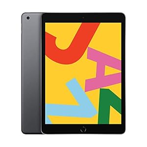 2019 Apple iPad (10.2-pulgadas, Wi-Fi, 128GB) Gris Espacial (Reacondicionado)
