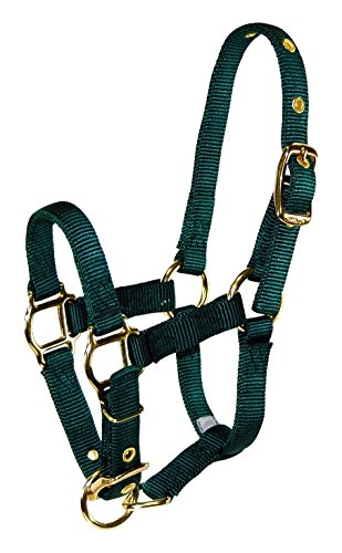 Hamilton Adjustable Miniature Nylon Horse Halter, Average, Dark Green #TOP19