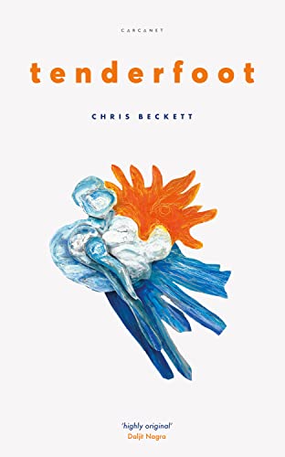Tenderfoot (English Edition)