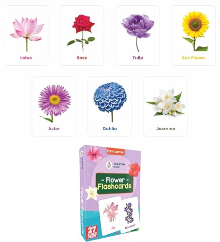 Image of Spartan Kids Flash Cards Combo Set of 12, Flash Cards for 1 Year Old Baby, Early Learning Flash Card Pack for 3 Year Old and Newborn Vocabulary Building