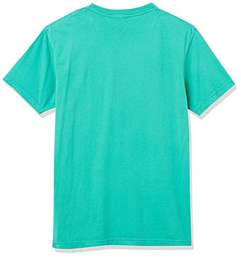 Image of Juice WRLD Unisex Adult Gbgr Tee