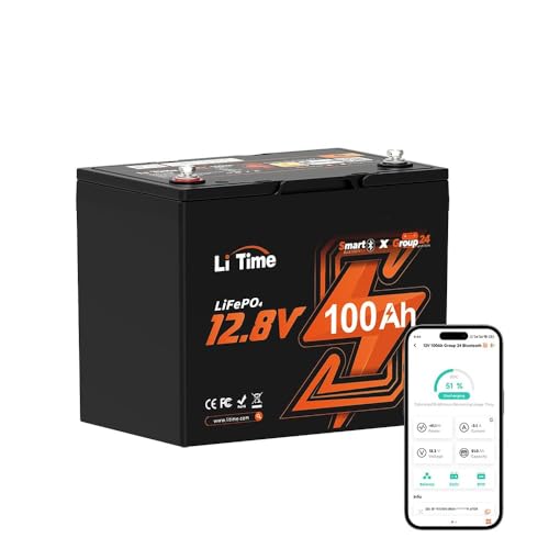 LiTime 12V 100Ah Trolling Motors Lithium Battery, Group 24 B