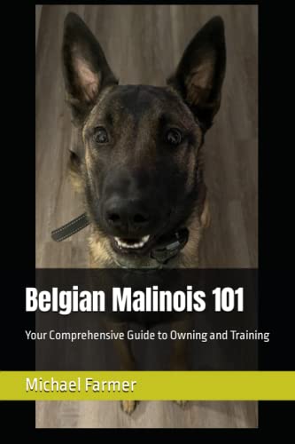 Belgian Malinois 101: Your Comprehensive Guide to Owning and Training